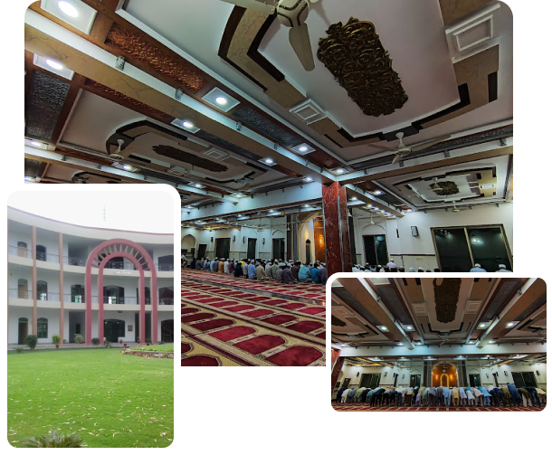 character-illustration